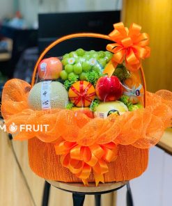 Giỏ Quà Trái Cây Thăm Bệnh LoviiFruit - GTCTB12